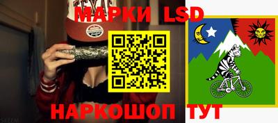твердый Гатчина