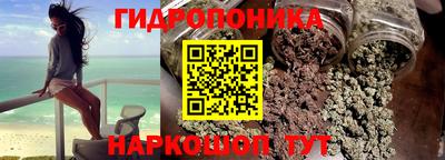 не бодяженный Гай