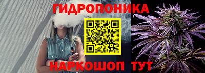 не бодяженный Гай