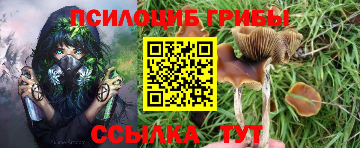Мичуринск  Псилоцибиновые грибы Magic Shrooms  Вход с VPN  Псилоцибиновые грибы мухоморы 